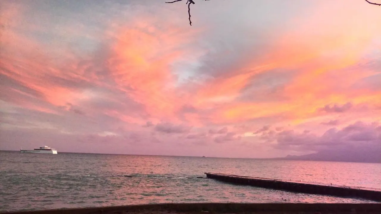 Grand Studio Les Pieds Dans L'Eau, Centre Ville Le Gosier  Guadeloupe
