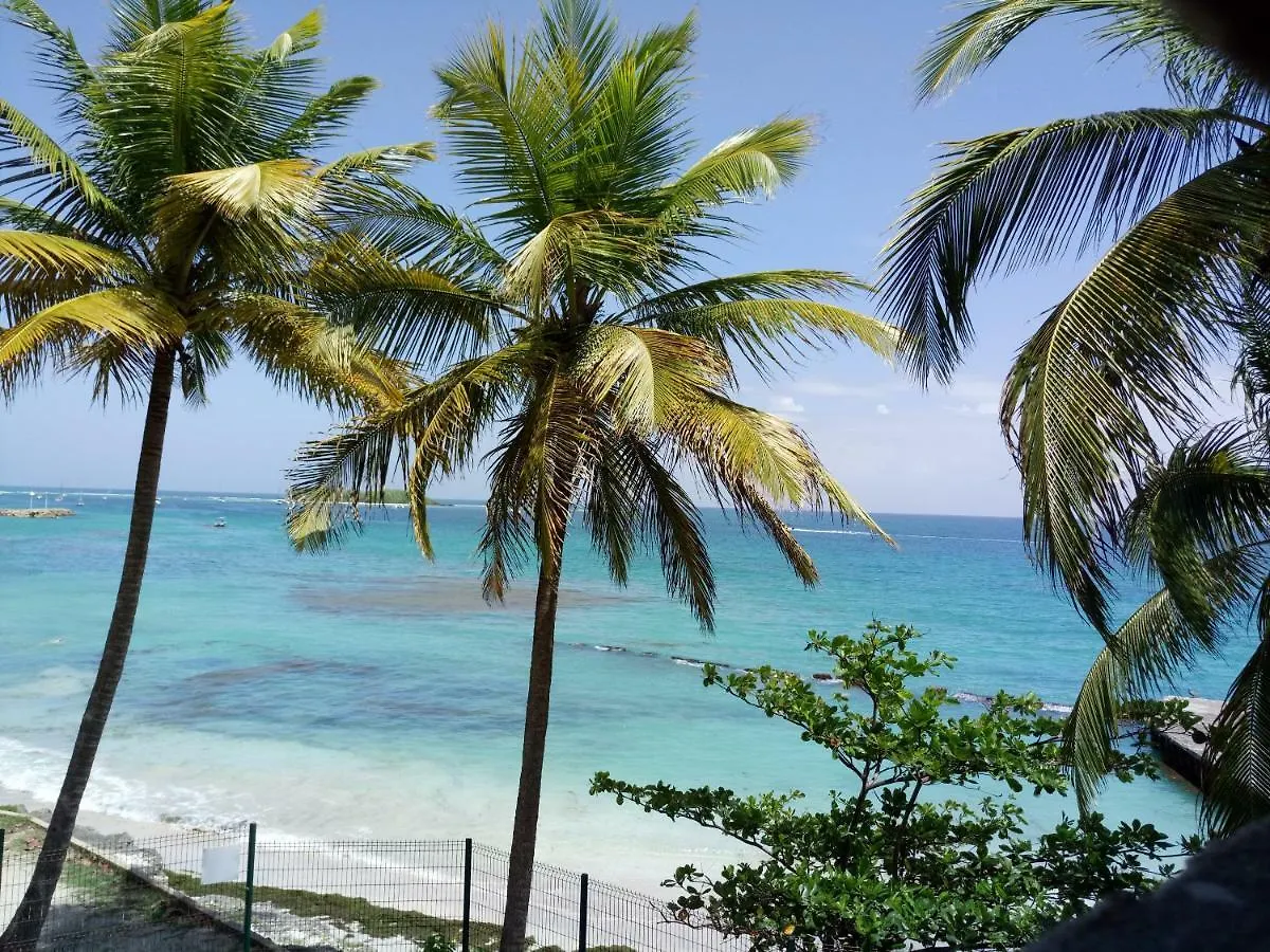 Apartment Grand Studio Les Pieds Dans L'Eau, Centre Ville Le Gosier  Guadeloupe