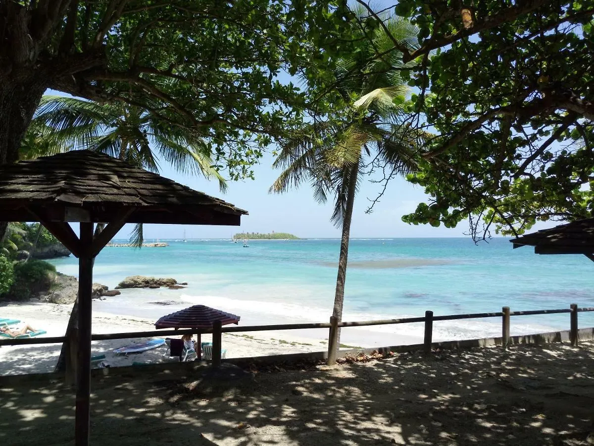 Grand Studio Les Pieds Dans L'Eau, Centre Ville Le Gosier  Le Gosier (Grande-Terre)