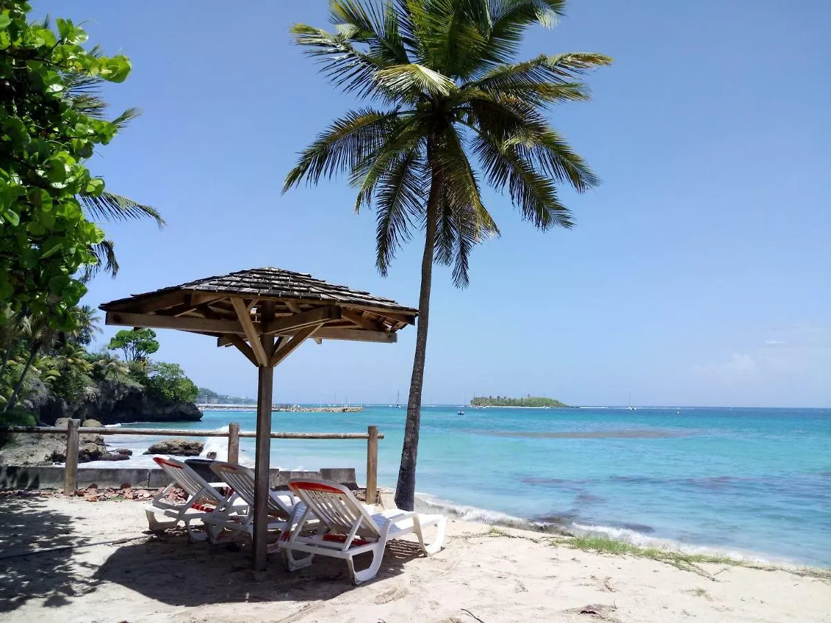 Grand Studio Les Pieds Dans L'Eau, Centre Ville Le Gosier  0*, Le Gosier (Grande-Terre)